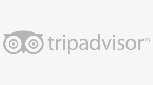 Tripadvisor Logo PNG - 180771