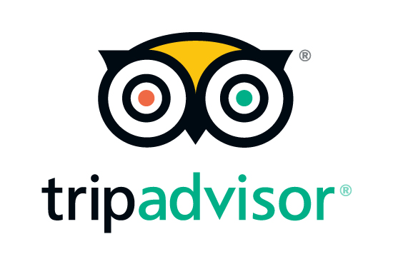 TripAdvisor icon. PNG 50 px