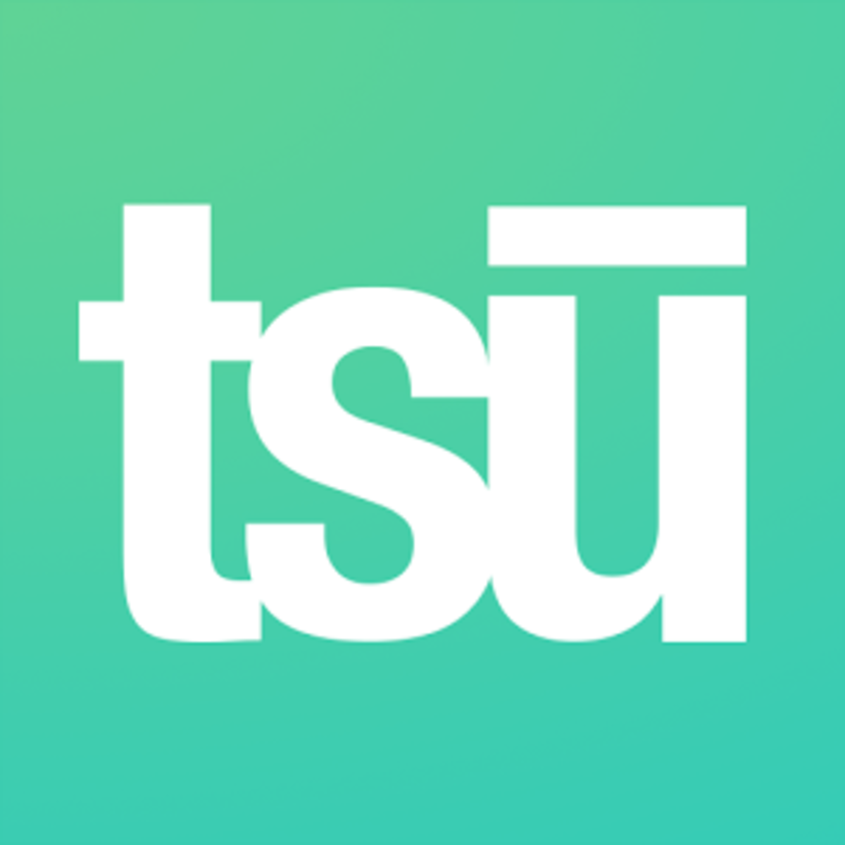 TS initial logo - ST initial 