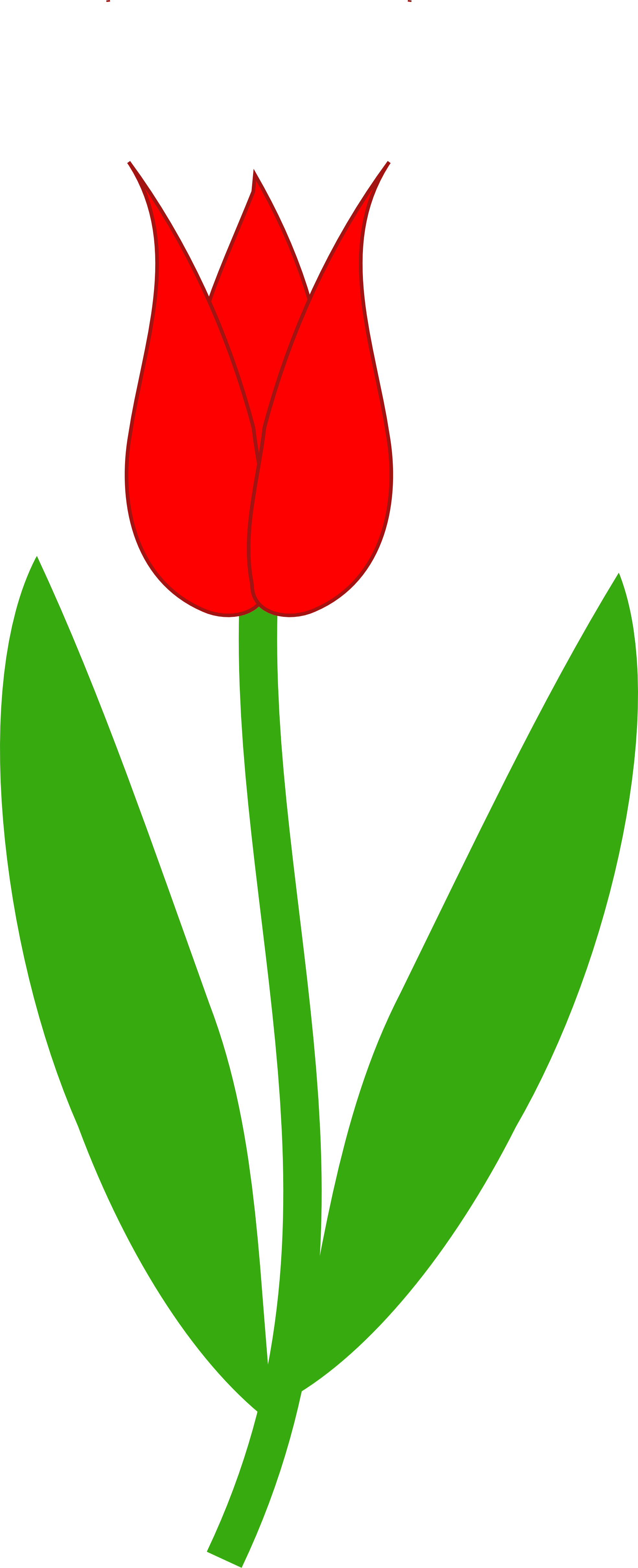 Tulip PNG Outline - 81455