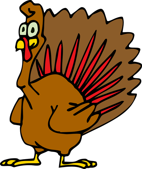 Turkey Bird PNG - 5882