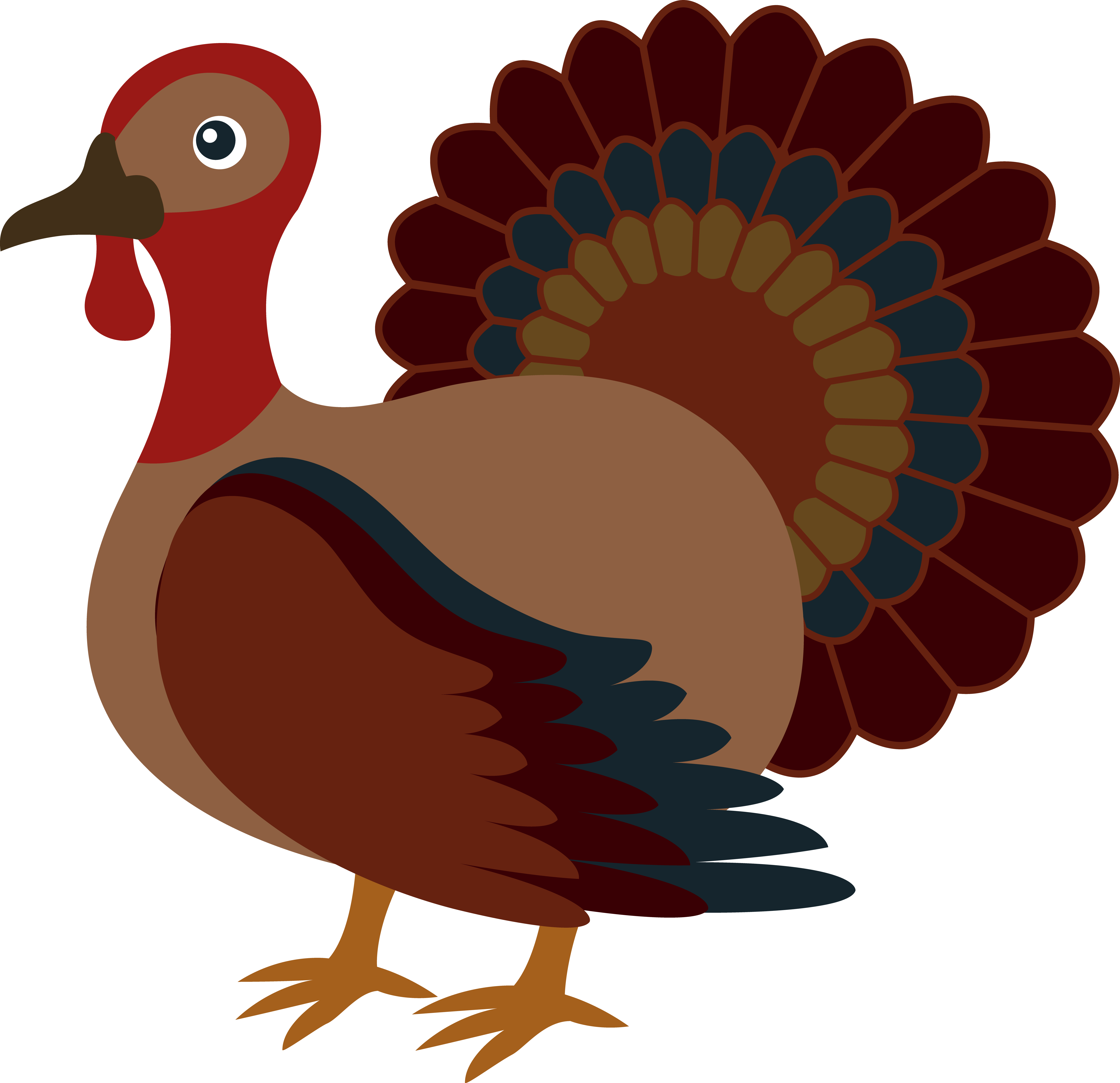 Turkey Bird PNG - 5885