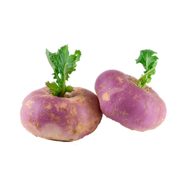Baby Pink turnips, Brassica r