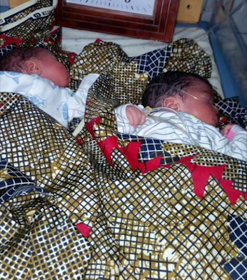 Twin Baby Boy Congratulations PNG - 165473