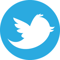 Twitter Logo Button