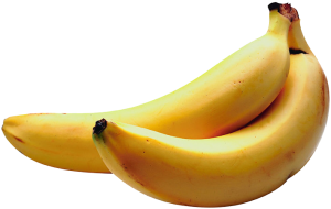 Two bananas, Vector Diagram, 