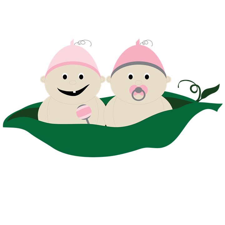 Two Peas In A Pod PNG - 71727