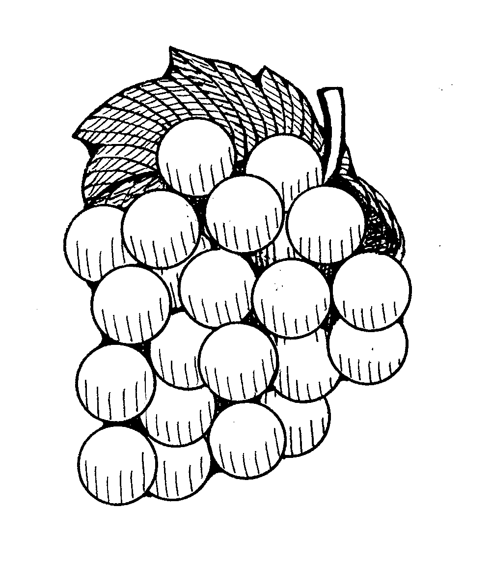 Outline Of Grapes