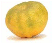 Ugli Fruit PNG - 82700