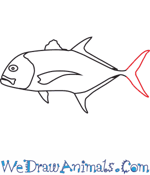 Ulua Fish PNG - 80804