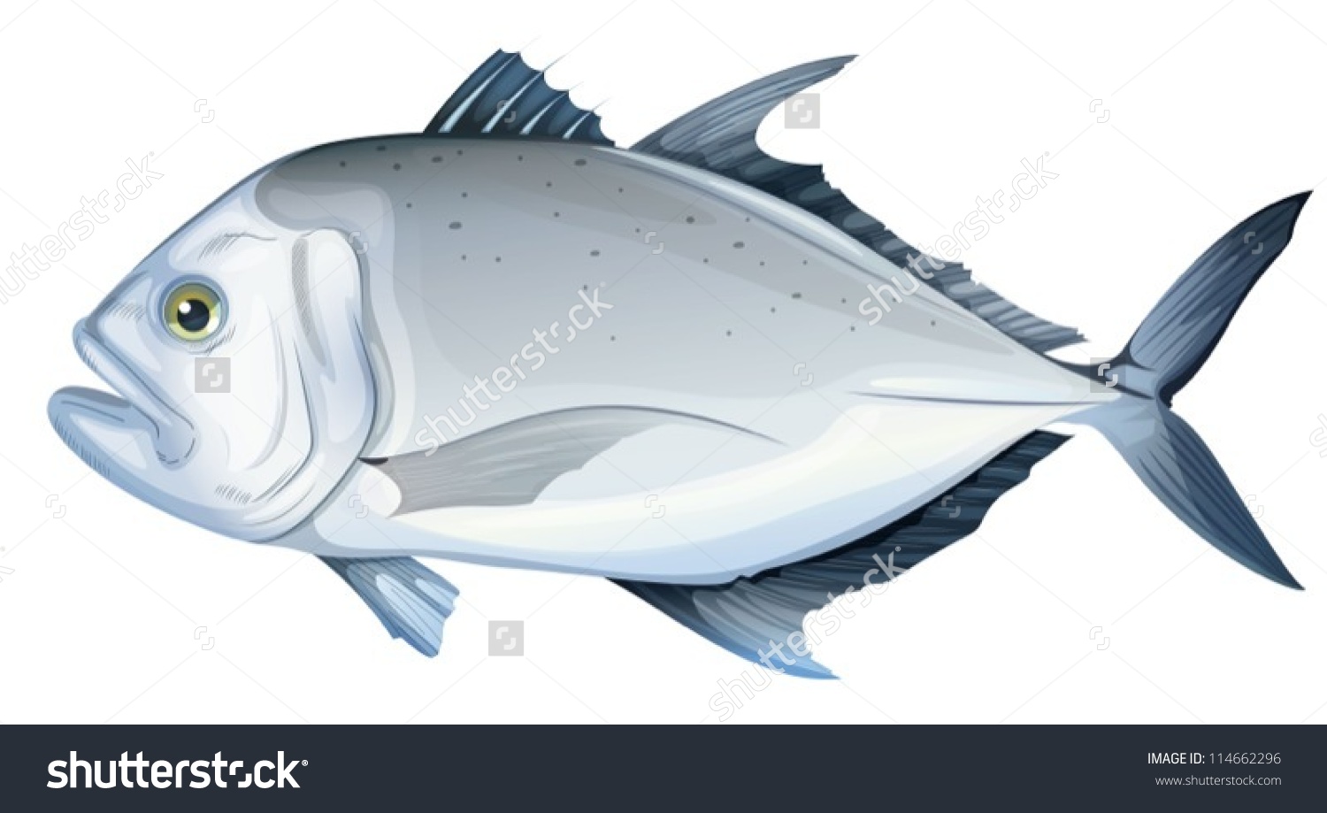 Ulua Fish PNG - 80807