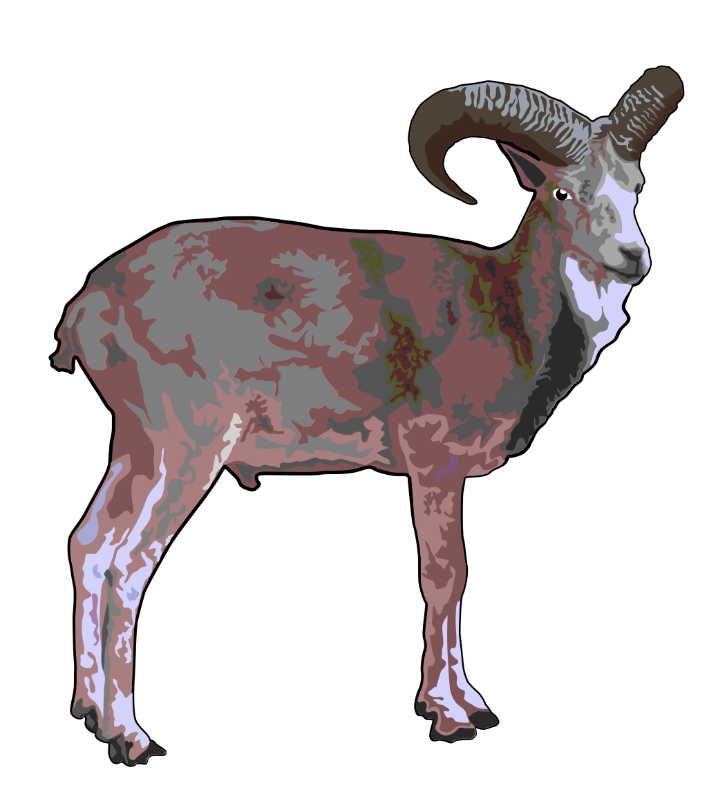 Urial PNG - 80199