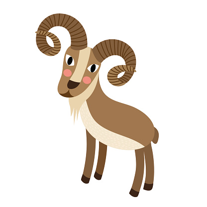 Urial PNG - 80206
