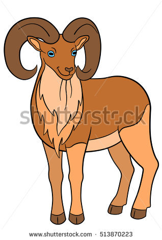 Urial PNG - 80212