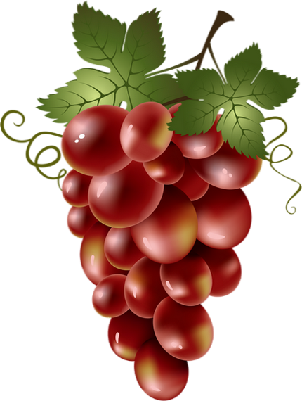 Icono de racimo de uvas png