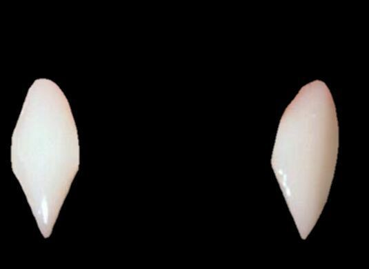 Vampire Teeth PNG - 80005