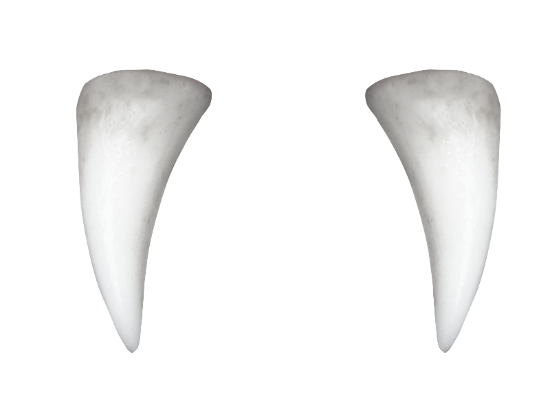 Vampire Teeth PNG - 80006
