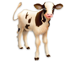 Veal PNG - 55046