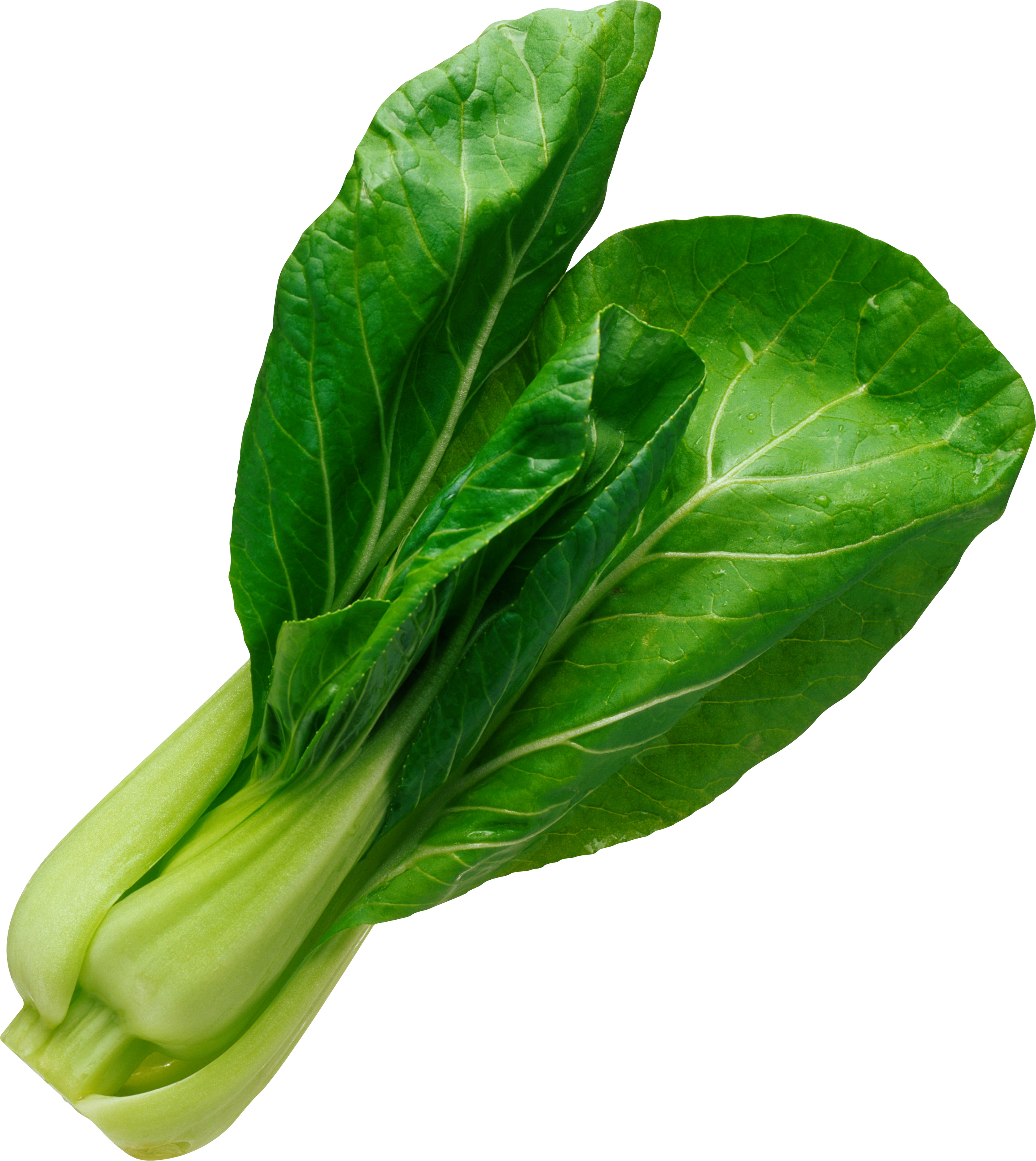 Vegetable PNG Image