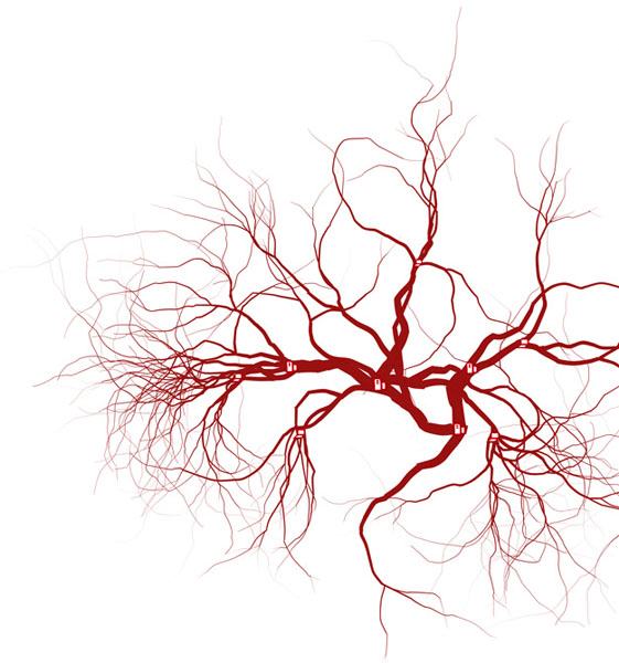 Set of human eye veins, red b