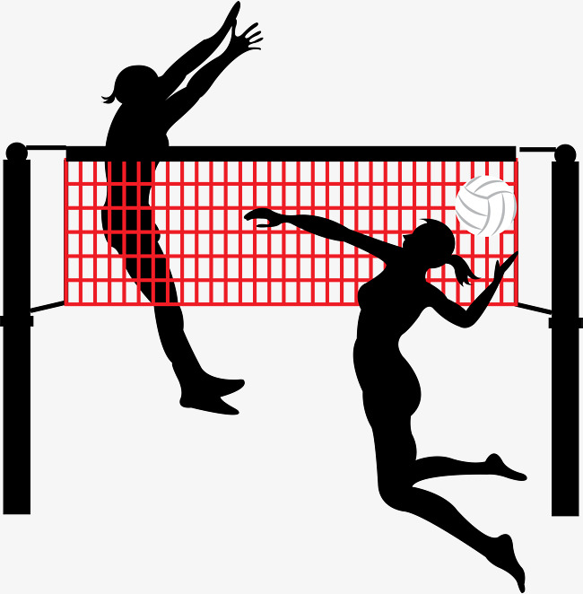 Volleyball Ball And Net PNG - 154829