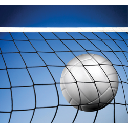 Collection of Volleyball Ball And Net PNG. | PlusPNG