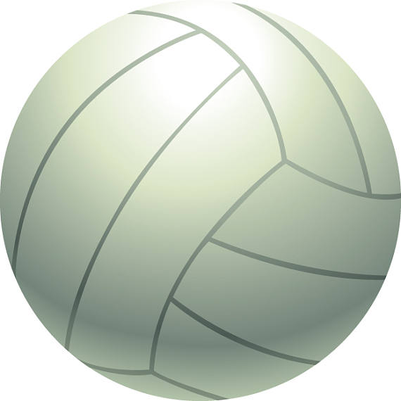 Volleyball Ball And Net PNG - 154830