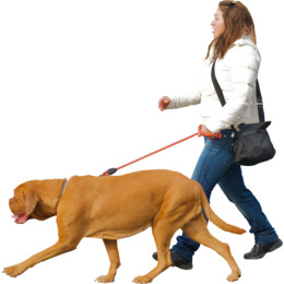 Vector girl walking the dog, 