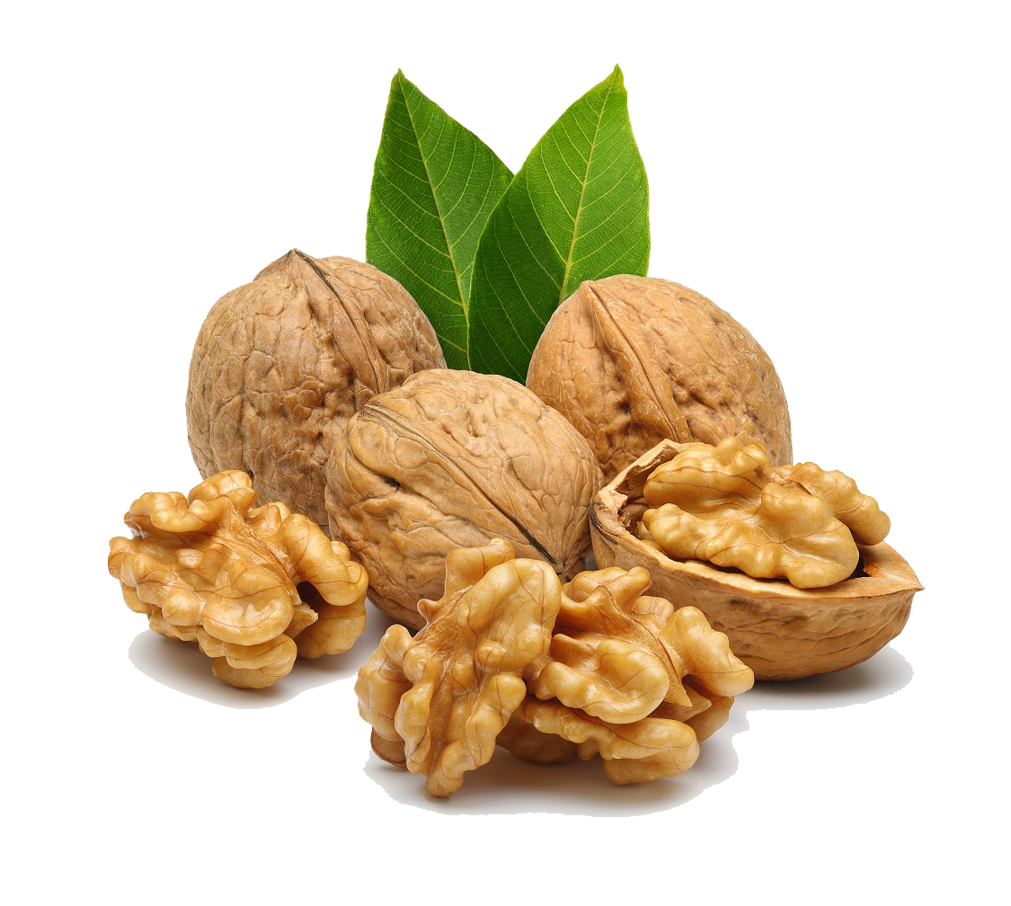 Kernel walnut isolated on the