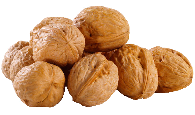 Collection of Walnut HD PNG. | PlusPNG
