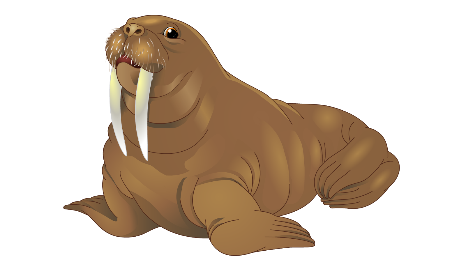 File:Walrus zombieHD.png