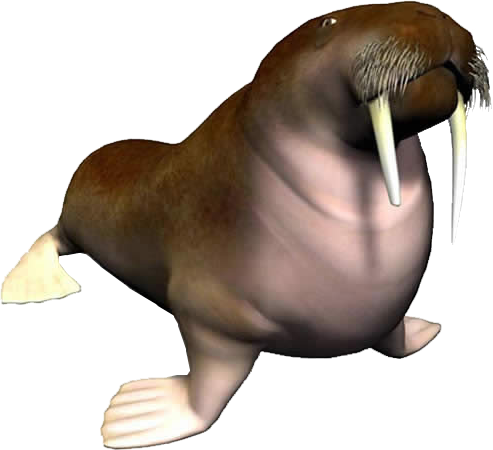 walrus, Hand Painted, Cartoon