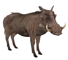 File:Huge item warthog bronze