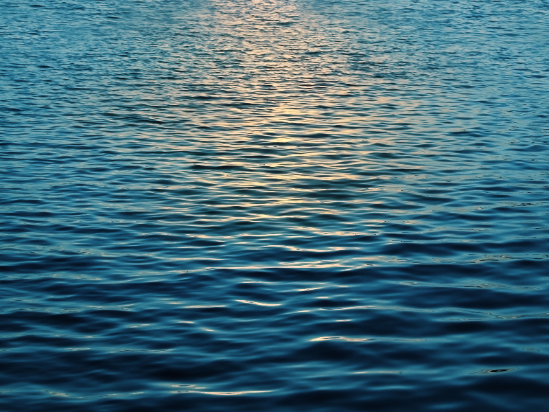 Water Surface With Sun Reflec