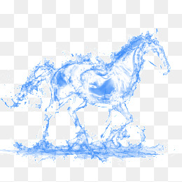 Water Horse PNG - 165371