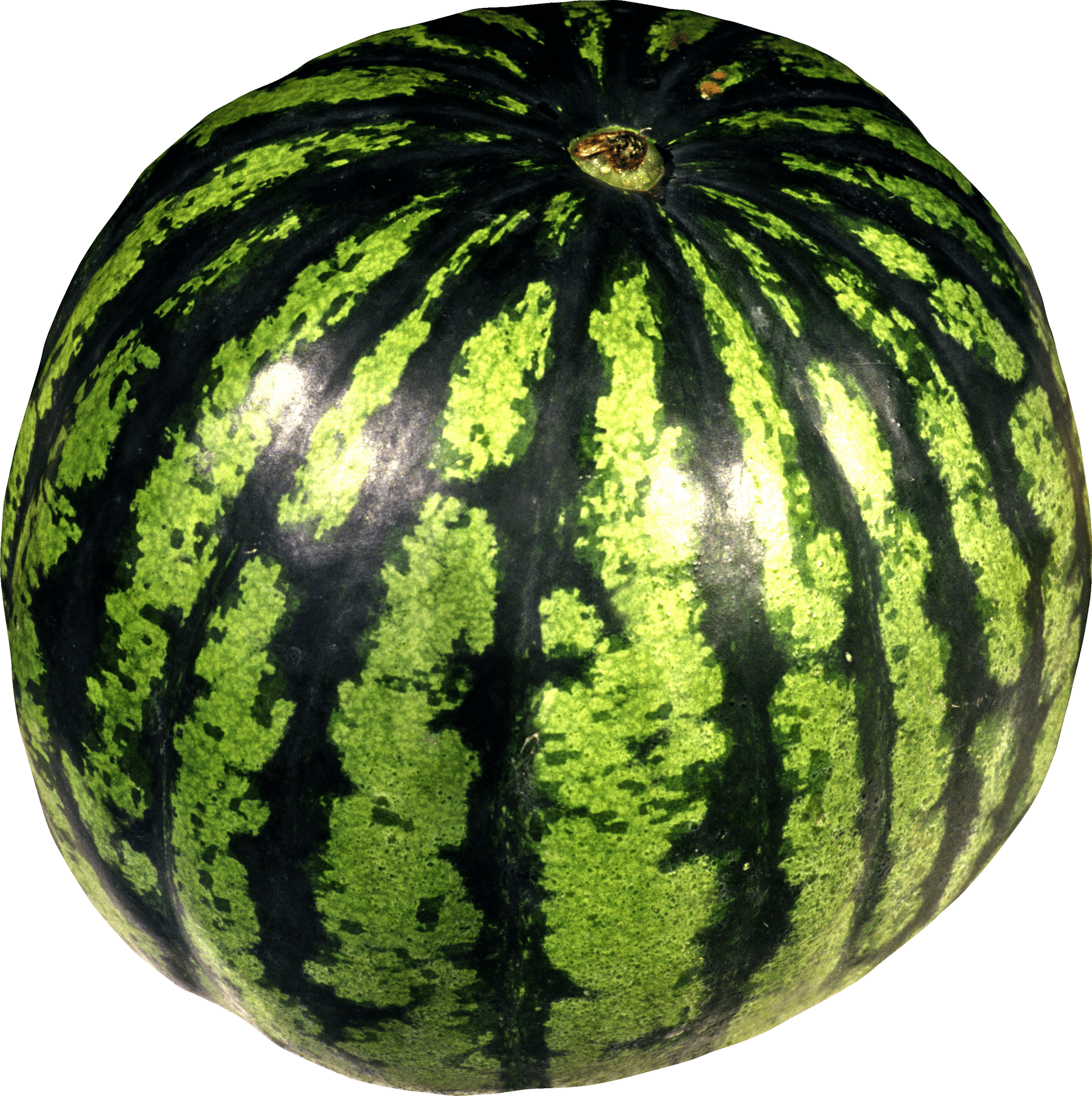 Large Isolated Watermelon