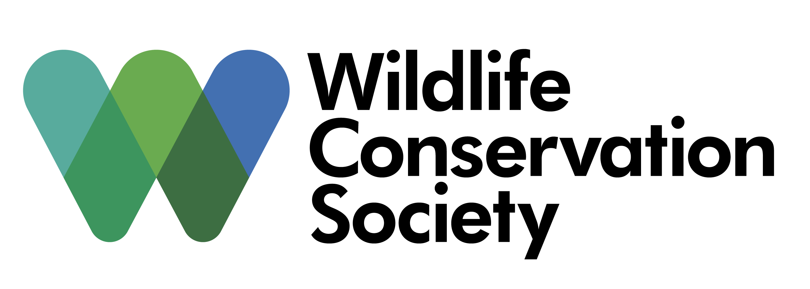 Wcs Logo PNG - 175392