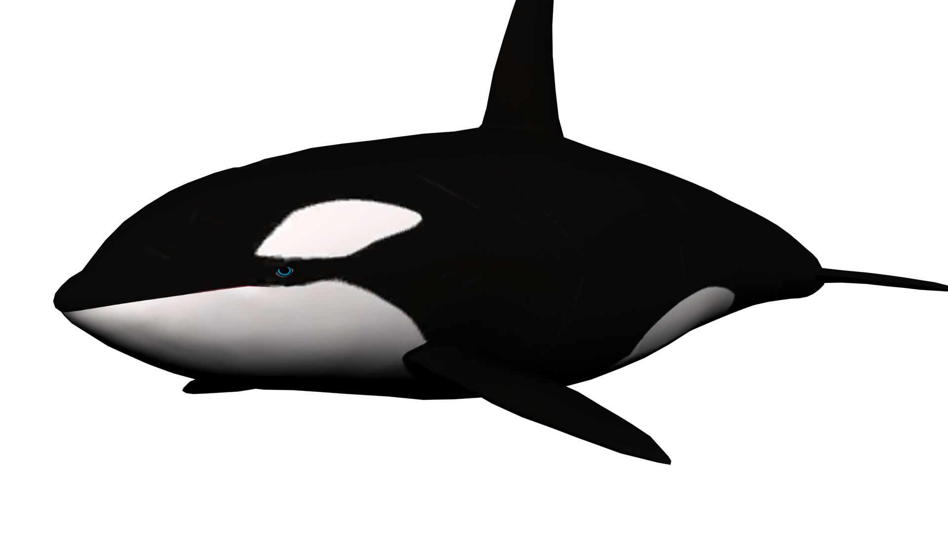 Whale PNG - 27210