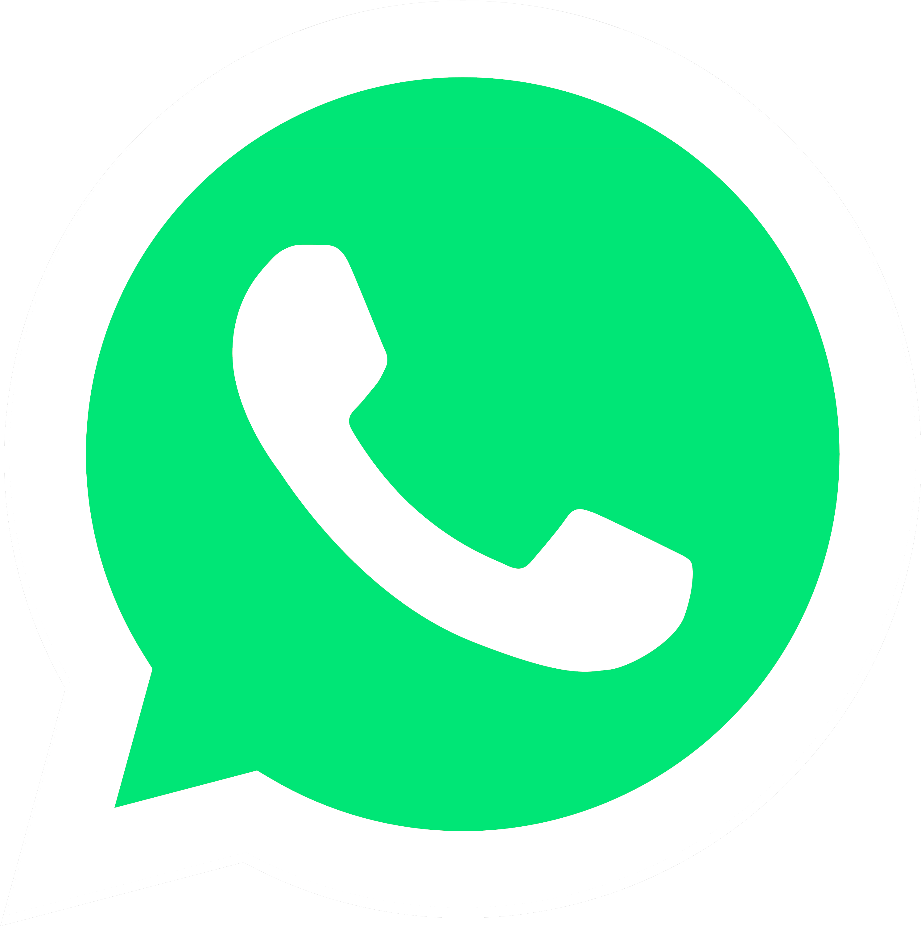 Whatsapp Logo PNG - 175557