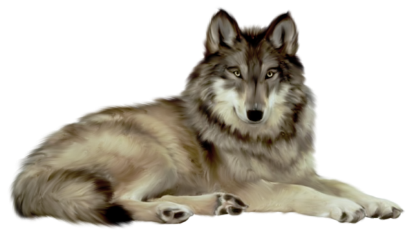 Wolf PNG - 17299