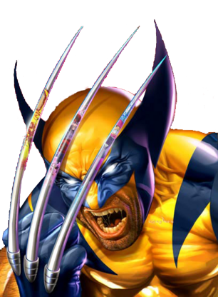 Wolverine HD PNG - 119969