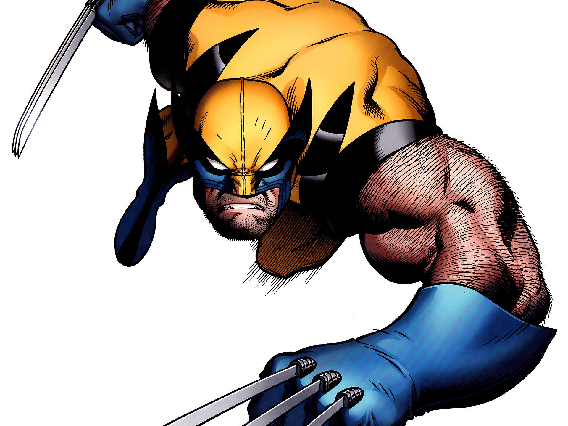 Wolverine HD PNG - 119962