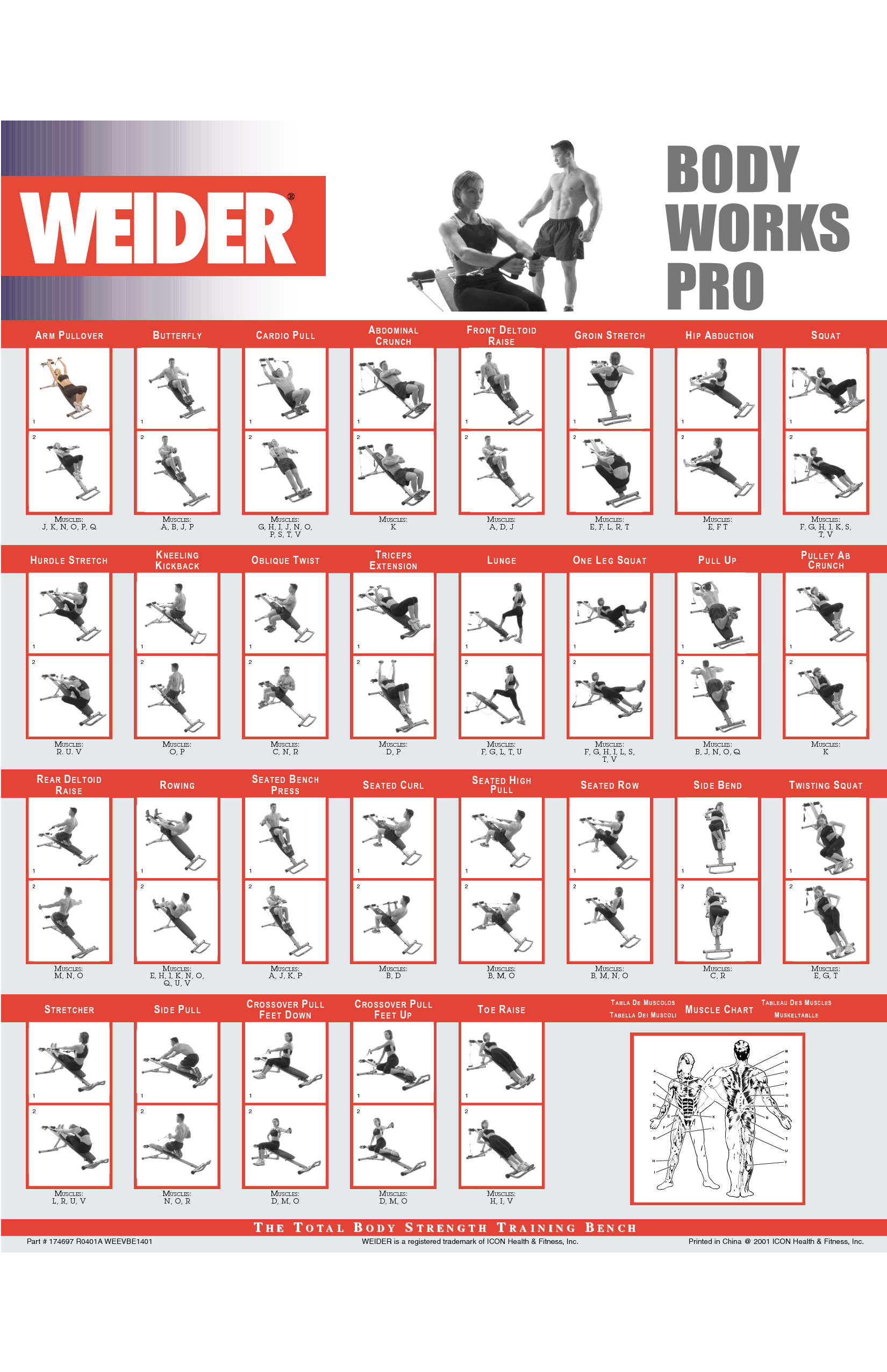 Collection Of Work Out PNG HD PlusPNG