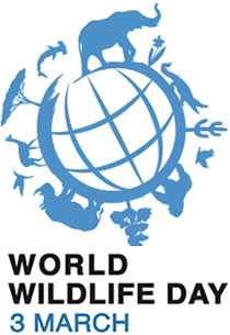 Official website of UN World 
