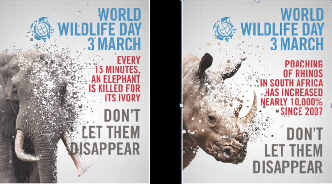 World Wildlife Day PNG - 132150