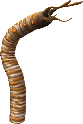 Worms PNG - 16707
