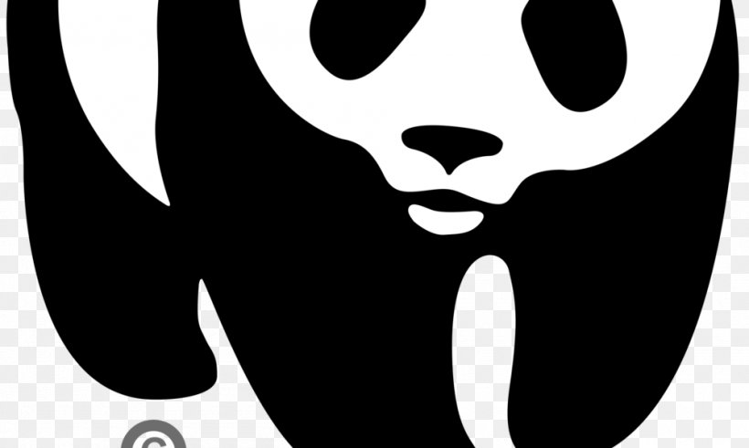Collection of Wwf Logo PNG. | PlusPNG