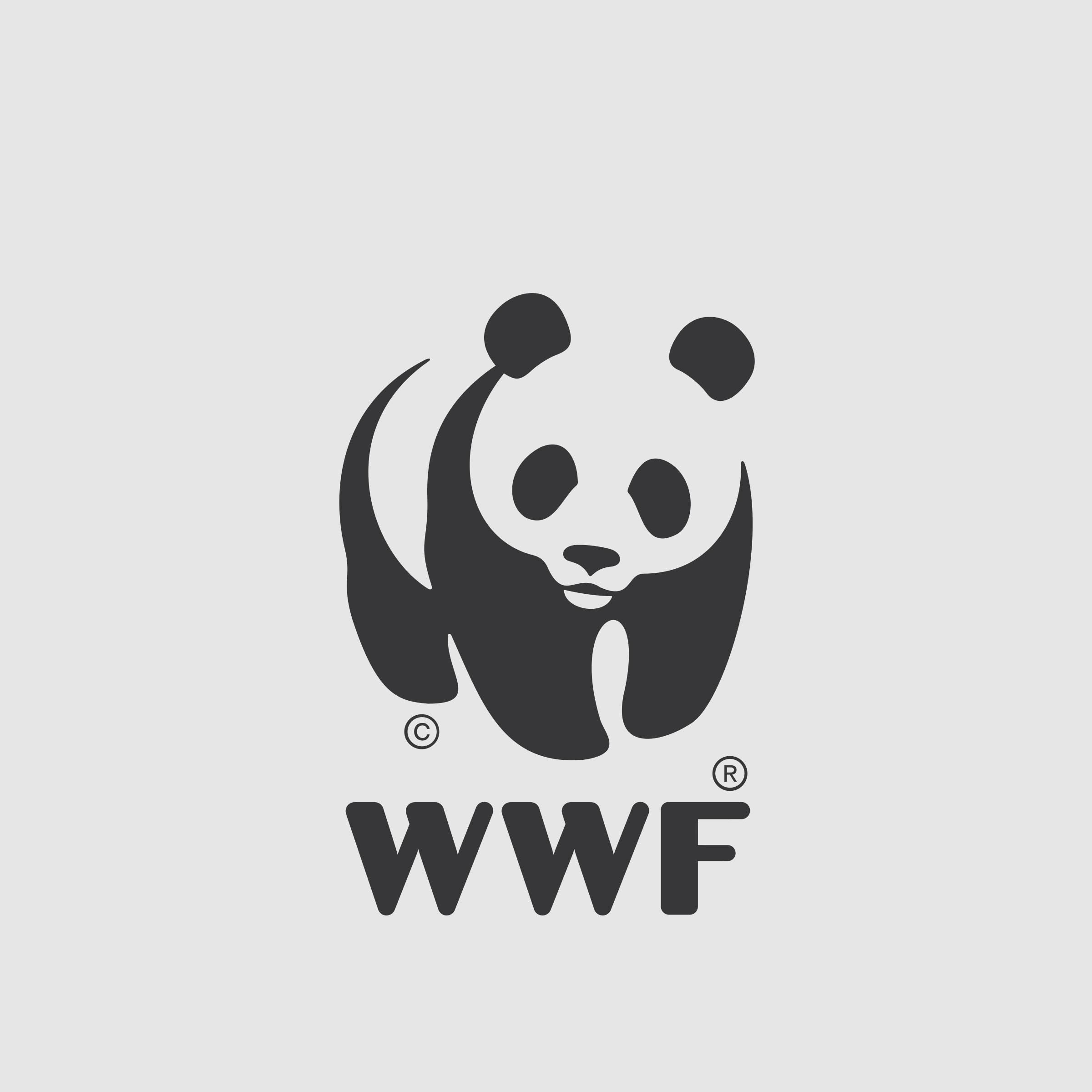 Wwf Logo PNG - 176968
