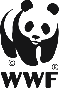Wwf Logo Transparent Backgrou