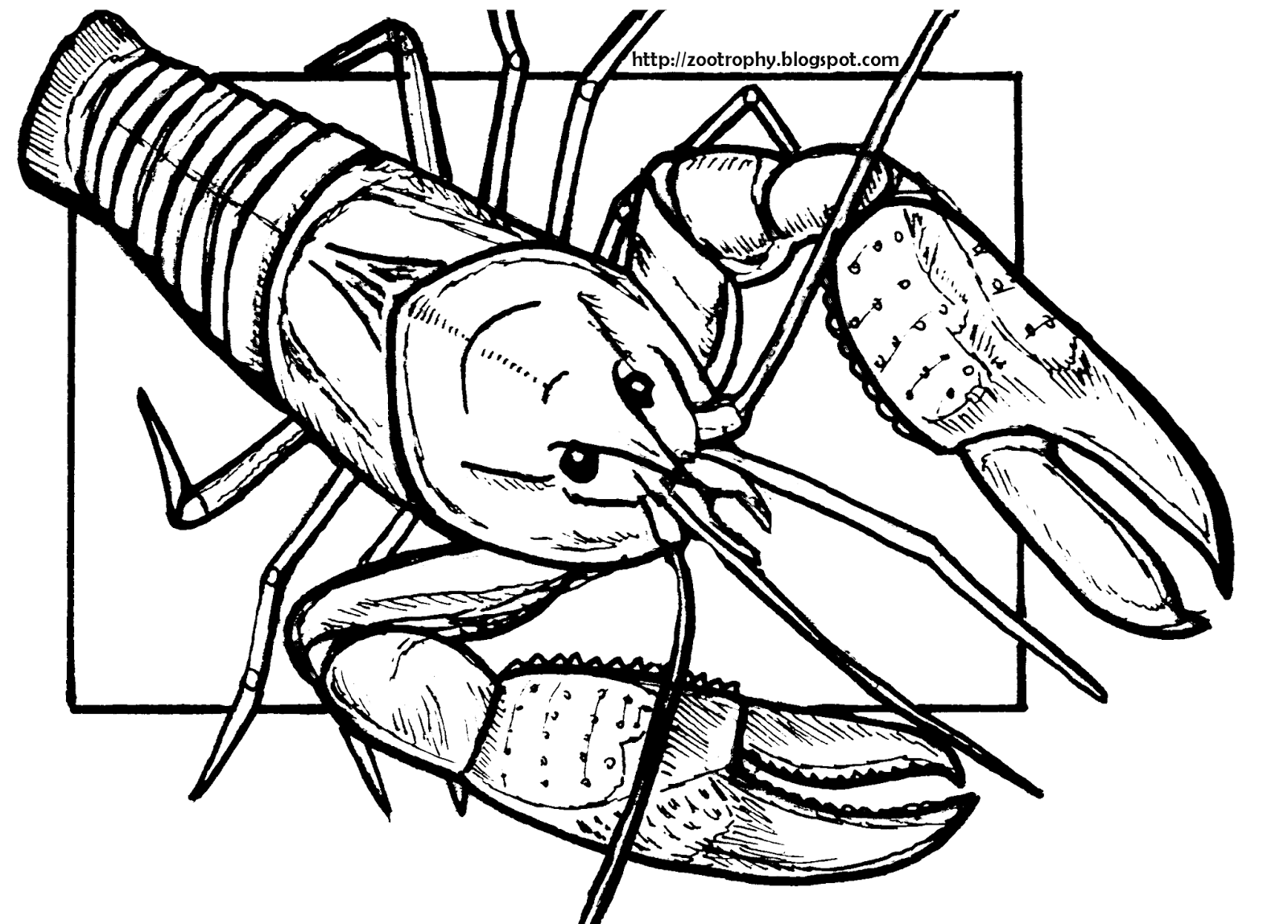 Yabby PNG - 41878